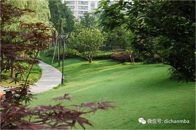 绿城园林景观营造阶段关键要点(全套)