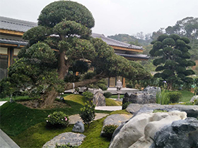禅意-园林景观工程