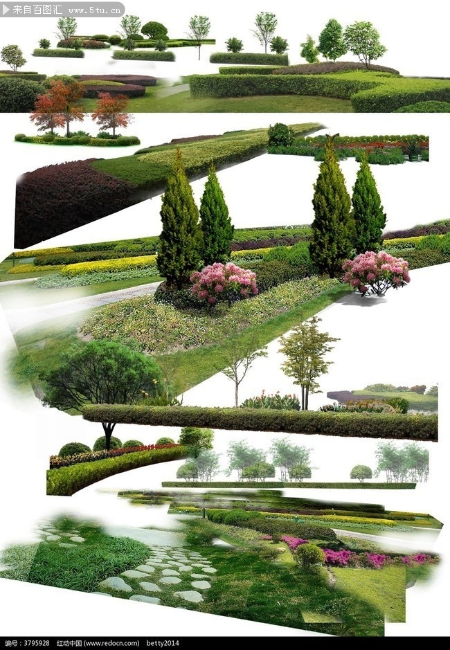 园林景观设计绿化植物图片素材-树木类-百图汇素材网