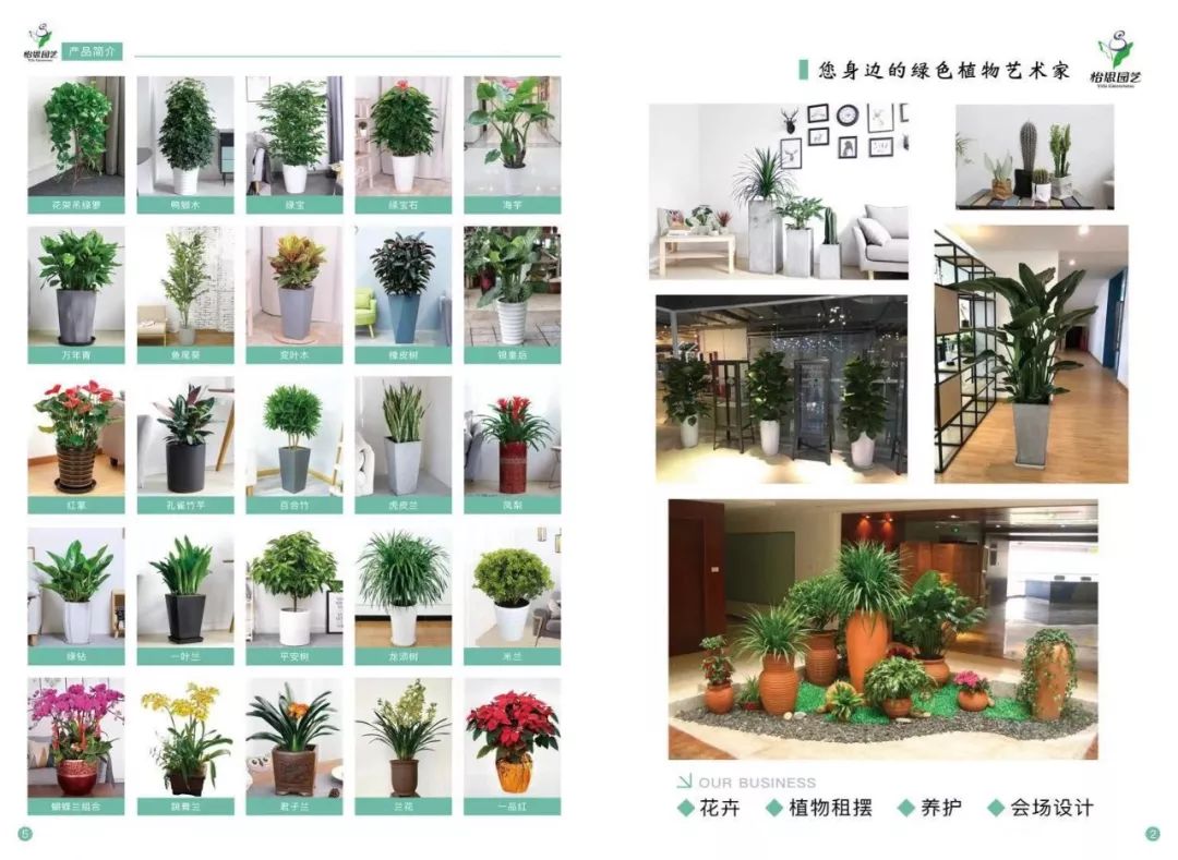 深圳花卉租摆|绿植租摆|花木租摆|绿化养护|园林景观工程.