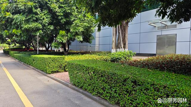 绿植池为点缀和地标,更有水系的自然融合,共同构成了厂区的生态景观