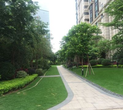 专业绿化养护工厂修剪植物种植改造 园林绿化设计施工一条龙服务