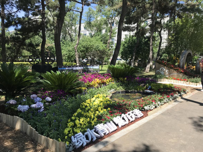 方寸园林匠心筑 献礼建党一百年--记西城中心参加市园林微景观设计技能竞赛