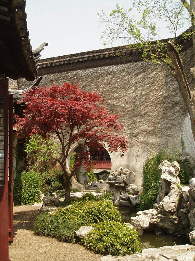 #古典园林# #建筑景观# #苏州园林#