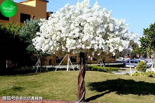 仿真树是园林景观中的 明星产品